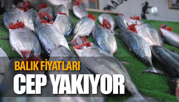 BALIK FİYATLARI EL YAKIYOR