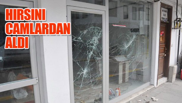 HIRSINI CAMLARDAN ALDI