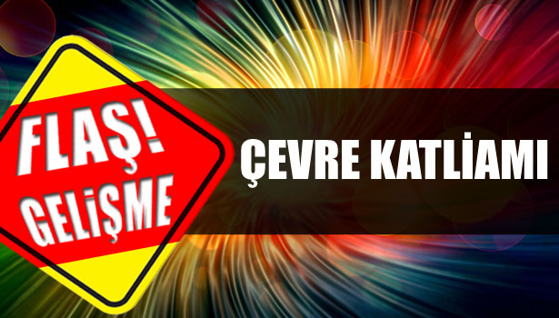 ÇEVRE KATLİAMI!