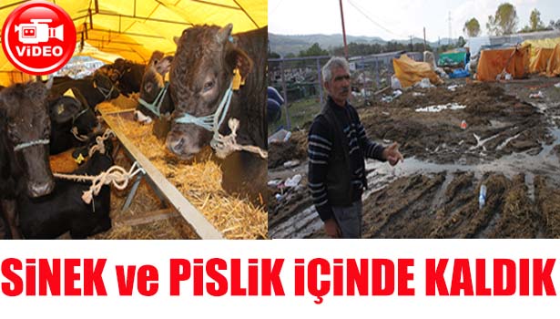 KURBAN PAZARINDA MAĞDUR OLAN SATICILAR: SİNEK VE PİSLİK İÇİNDE KALDIK