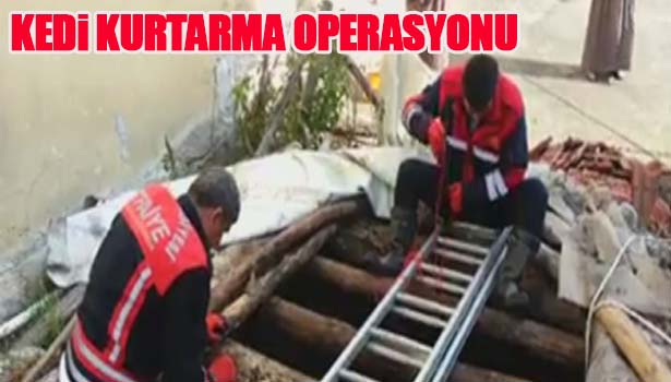 KUYUYA DÜŞEN YAVRU KEDİYİ İTFAİYE KURTARDI