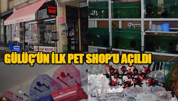 GÜLÜÇ'ÜN İLK PET SHOP'U AÇILDI