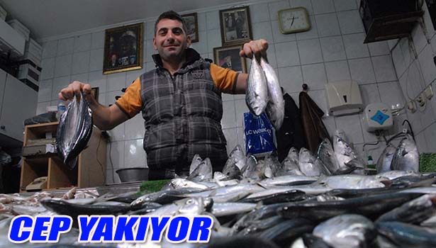 BALIK FİYATLARI CEP YAKIYOR