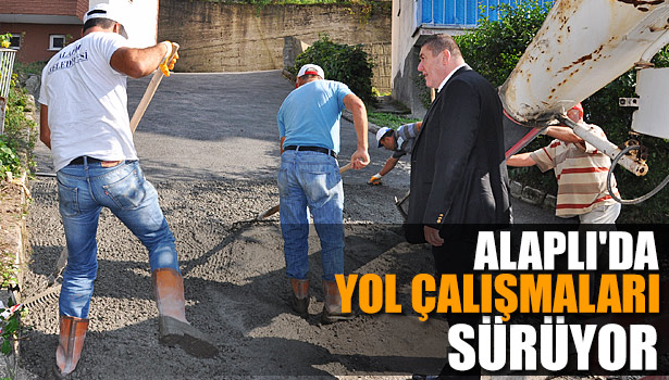 ALAPLI'DA YOL ÇALIŞMALARI SÜRÜYOR