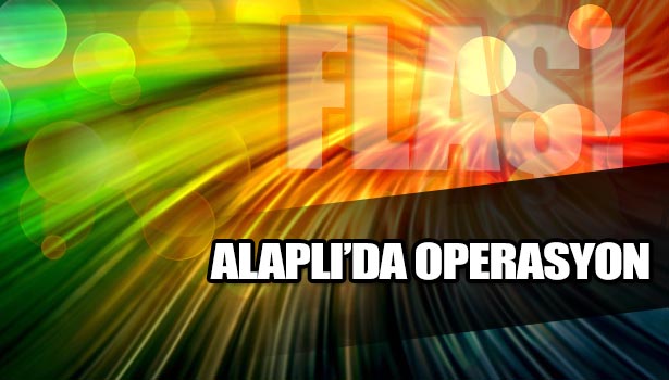 ALAPLI'DA KAÇAK SİGARA OPERASYONU