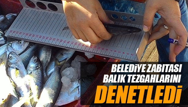 BELEDİYE ZABITASI, BALIK TEZGAHLARINI DENETLEDİ
