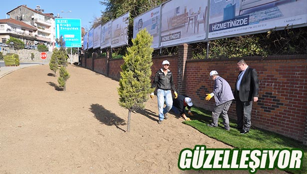 KALDIRIM ve YOL KENARLARI ÇİMLENDİRİLİYOR