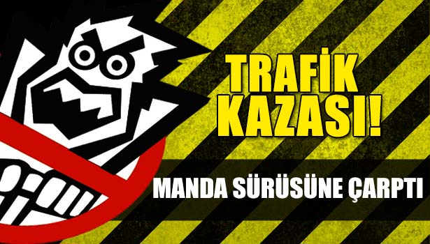 MANDA SÜRÜSÜNE OTOMOBİL ÇARPTI: 2 YARALI