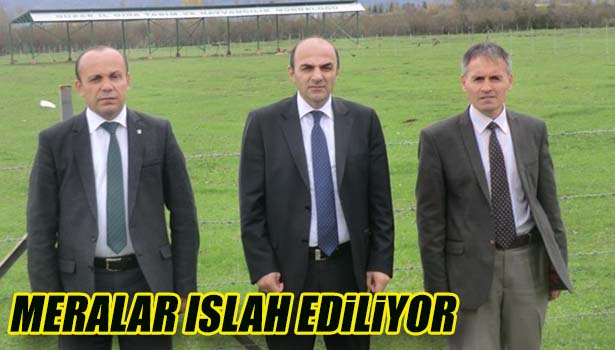 MERALAR ISLAH EDİLİYOR