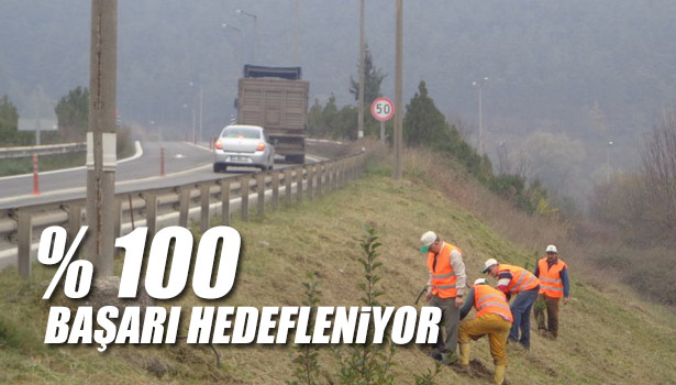 DÜZCE'DE OTOYOL AĞAÇLANDIRMA ÇALIŞMALARINDA % 100 BAŞARI HEDEFLENİYOR.