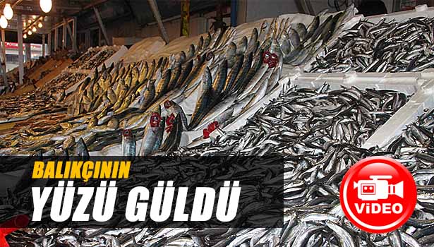 BALIKÇININ YÜZÜNÜ "KARADENİZ HAMSİSİ" GÜLDÜRÜYOR