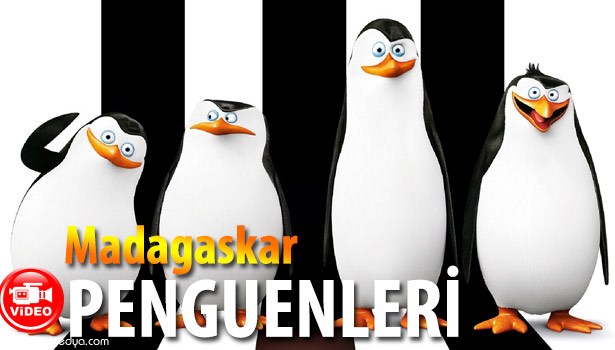 MADAGASKAR PENGUENLERİ