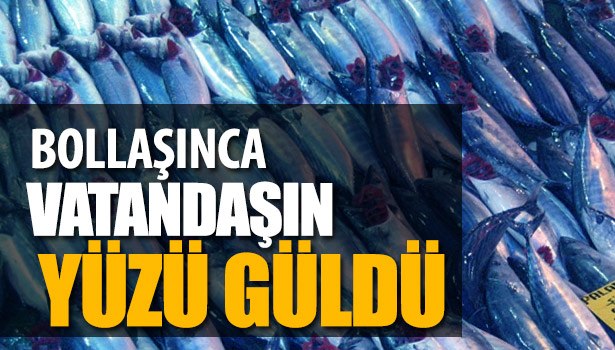PALAMUT BOLLAŞTI, VATANDAŞIN YÜZÜ GÜLDÜ
