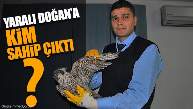 YARALI DOĞANA BELEDİYE SAHİP ÇIKTI