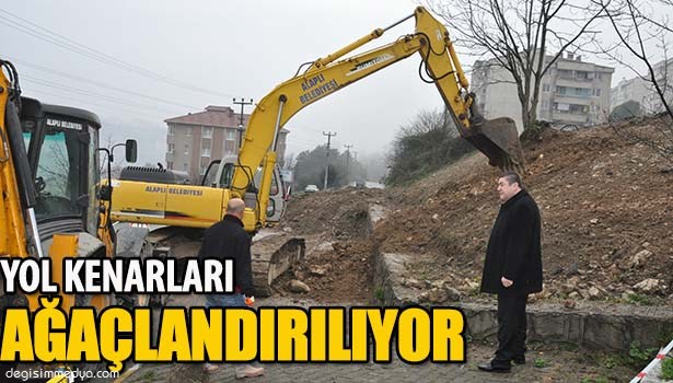 ALAPLI'DA YOL KENARLARI AĞAÇLANDIRILIYOR