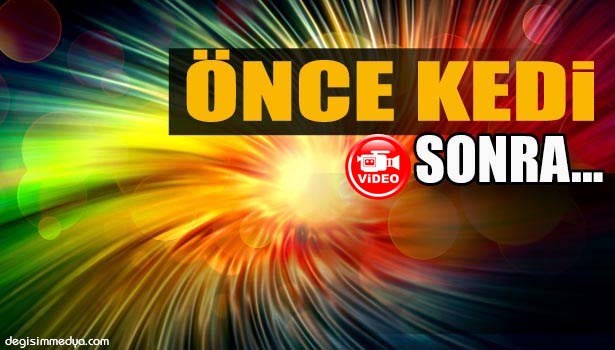 DÜKKANA ÖNCE KEDİ, SONRA DA HIRSIZ GİRDİ