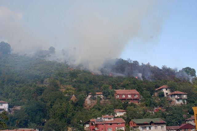 1.5 HEKTARLIK ALAN KÜL OLDU...