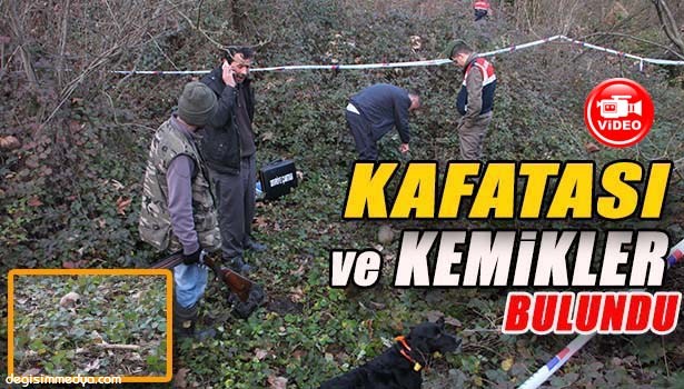 ALAPLI'DA ORMANDA İNSAN KAFATASI VE KEMİKLERİ BULUNDU
