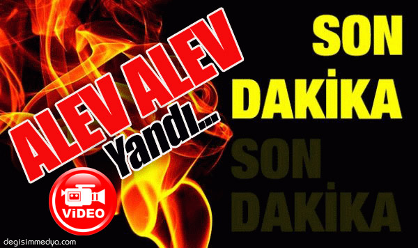 SEYİR HALİNDEKİ OTOMOBİL ALEV ALDI