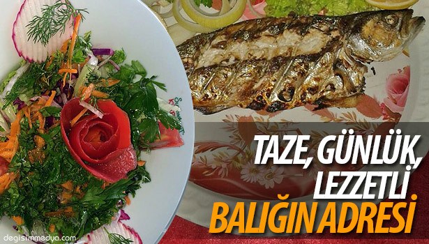 TAZE, GÜNLÜK, LEZZETLİ BALIĞIN ADRESİ