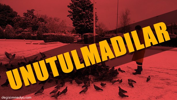 KDZ. EREĞLİ BELEDİYESİ SOKAK HAYVANLARINI DA UNUTMADI