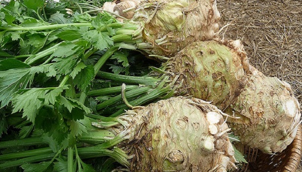 KEREVİZİN FAYDALARI