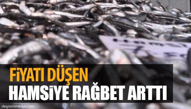 FİYATI DÜŞEN HAMSİYE RAĞBET ARTTI