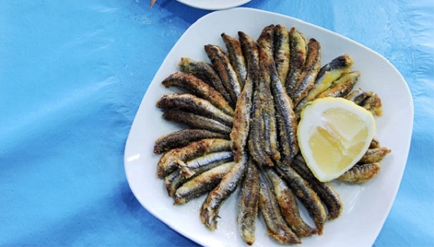 HAMSİ TAVANIN PÜF NOKTALARI