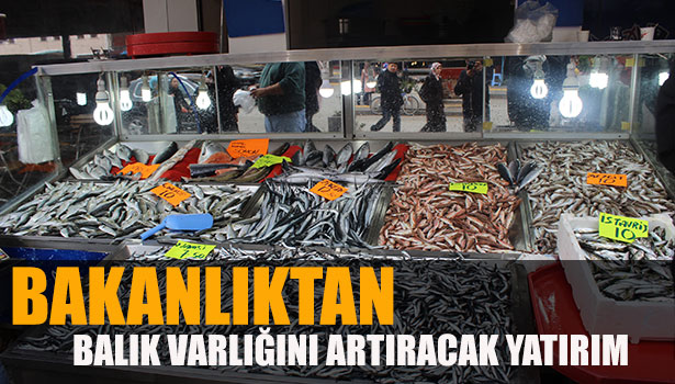 BAKANLIKTAN BALIK VARLIĞINI ARTIRACAK YATIRIM