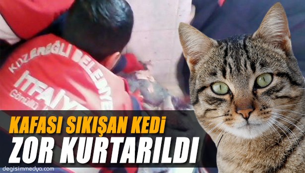 KAFASI SU GİDERİNE SIKIŞAN KEDİ HİLTİ İLE KURTARILDI
