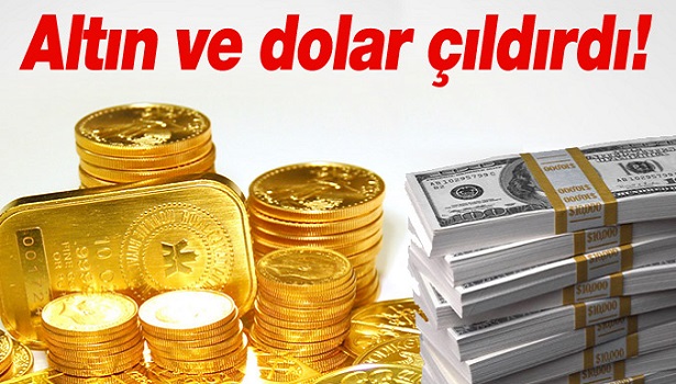 DOLAR VE ALTIN ÇILDIRDI