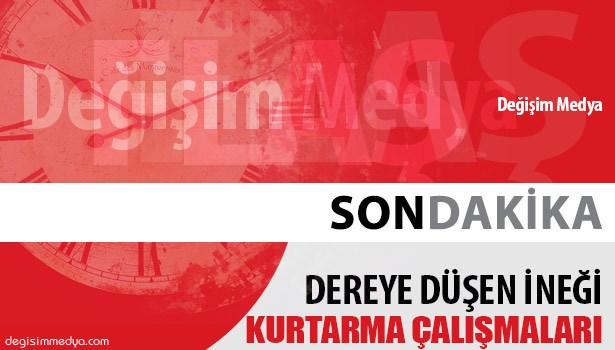 DEREYE DÜŞEN İNEĞİ KURTARMA OPERASYONU