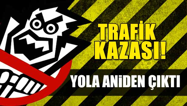 YOLA ÇIKAN BÜYÜKBAŞ HAYVAN ZİNCİRLEME KAZAYA NEDEN OLDU