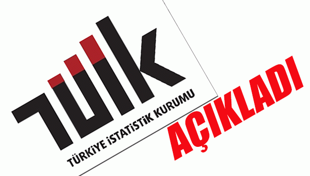 TÜİK DIŞ TİCARET İSTATİSTİKLERİNİ AÇIKLADI