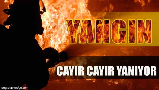 KOCAMAN'DA ORMAN İÇTEN İÇE YANIYOR