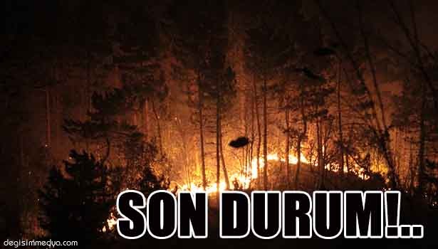 ALAPLI'DA ORMAN YANGINI KONTROL ALTINA ALINDI, SOĞUTMA ÇALIŞMASI SÜRÜYOR