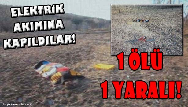 CAMİ İÇİN AĞAÇ KESERKEN ELEKTRİK AKIMINA KAPILDILAR!