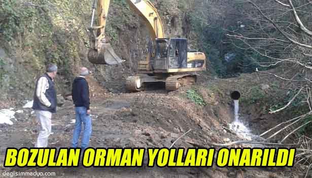 AKÇAKOCA'DA BOZULAN ORMAN YOLLARI ONARILDI