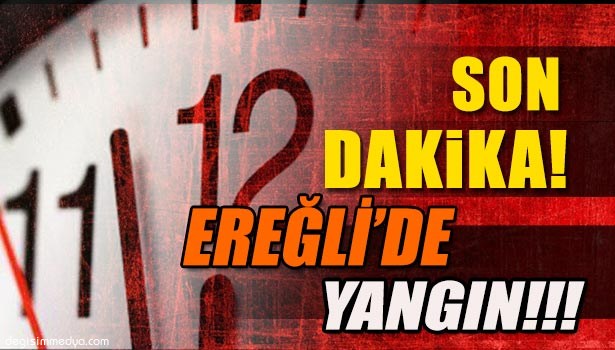EREĞLİ'DE YANGIN!