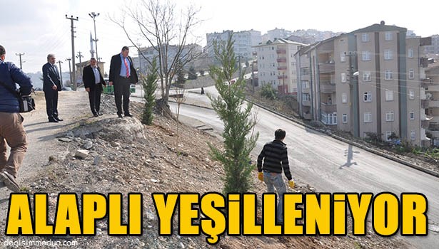 BİN ADET AĞAÇ DİKİLECEK