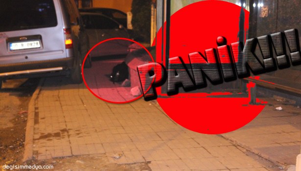 ASKERLİK ŞUBESİ YANINDA ŞÜPHELİ ÇANTA PANİĞİ