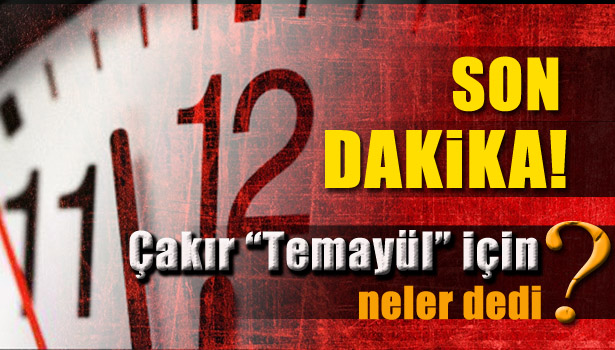 AK PARTİ TEMAYÜL YOKLAMASINDA NELER OLDU?