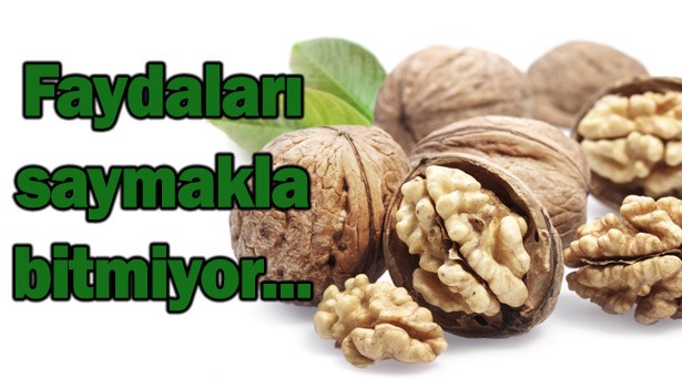 CEVİZİN FAYDALARI SAYMAKLA BİTMİYOR...