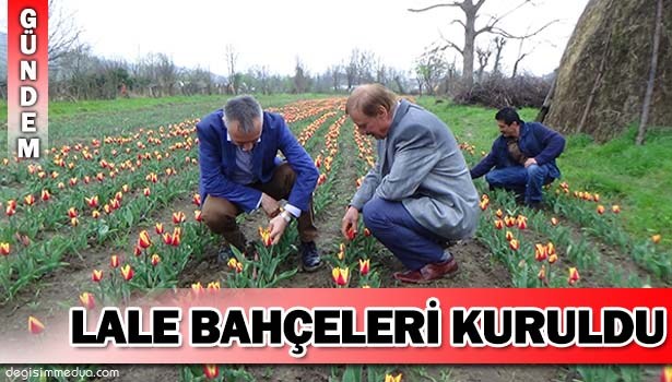 ZONGULDAK'A İLK KEZ LALE BAHÇELERİ KURULDU