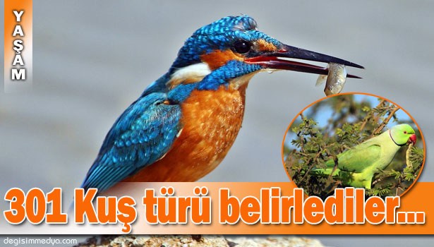 10 YIL BOYUNCA KAYDA ALDILAR, 301 KUŞ TÜRÜ BELİRLEDİLER