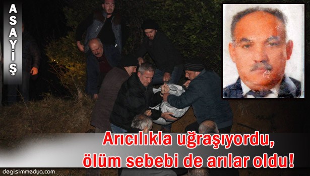 ARILARIN SOKTUĞU ADAM YAŞAMINI YİTİRDİ