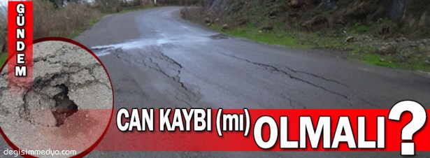 BU YOLDA CAN KAYBI MI OLMALI?