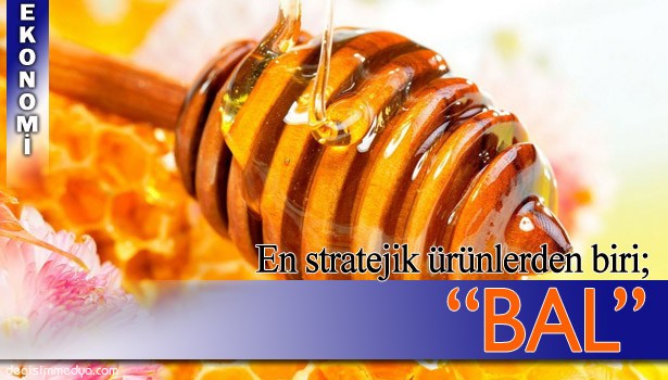 "KOLONİ BAŞINA BAL VERİMİMİZ KİŞİ BAŞINA 15 KG., OYSA 60 KG OLMALIDIR"