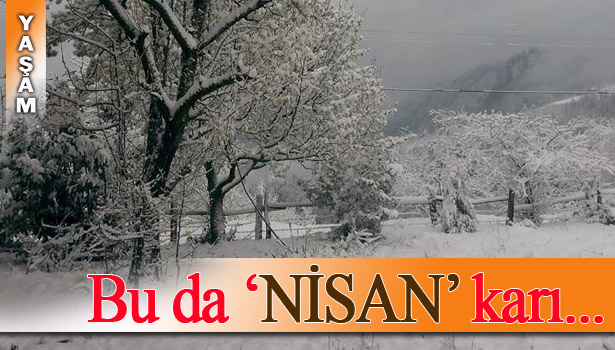 ALAPLI'NIN YÜKSEK KESİMLERDE KAR KALINLIĞI 30 SANTİMETREYİ BULDU