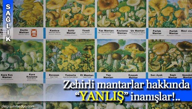 "YANLIŞ İNANIŞLAR, YÜZLERCE İNSANIN ÖLÜMÜNE NEDEN OLMAKTADIR"